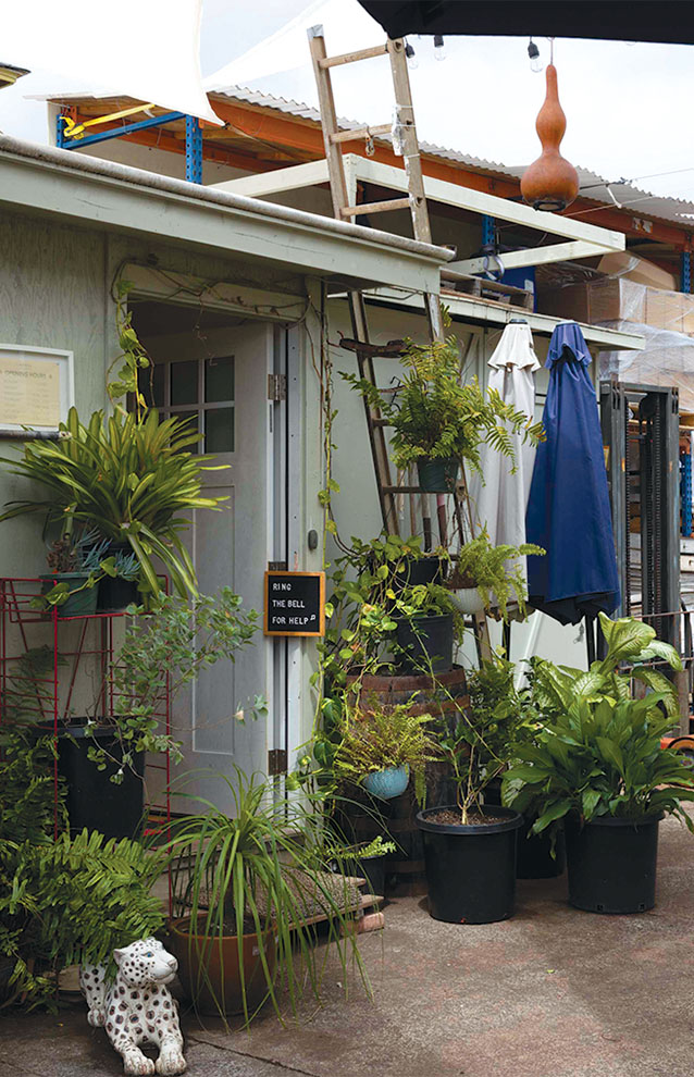 A house with plants in pots