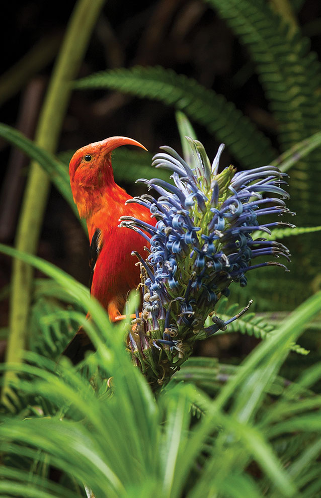 a bird on a flower