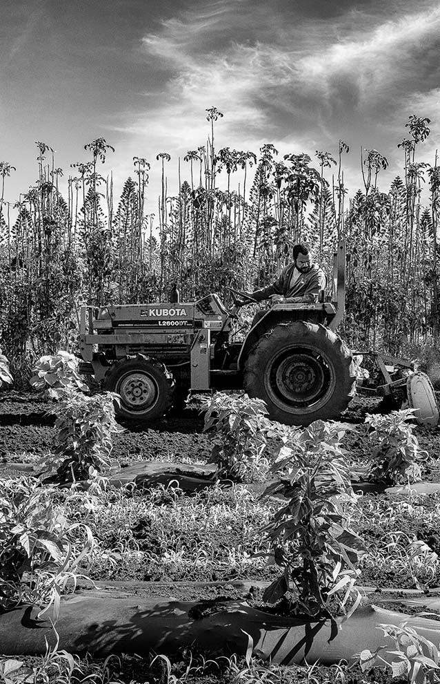 a person driving a tractor in a field