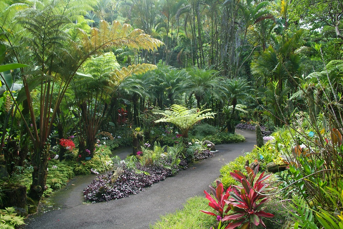 Hawaii Tropical Botanical Garden