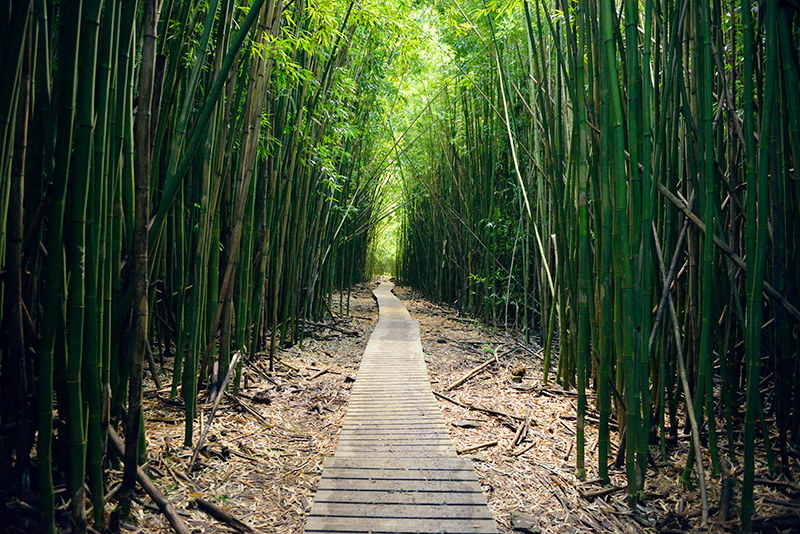 loomis_hana-highway-10-kipahulu